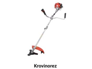 IMAGE-2026-02-20-094102